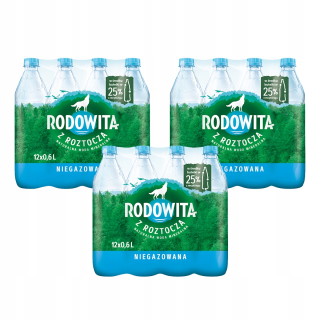 Native stále voda 36x 0,6l