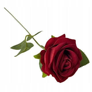 Darček na Valentína - Večná ruža inšpiruje 50 cm