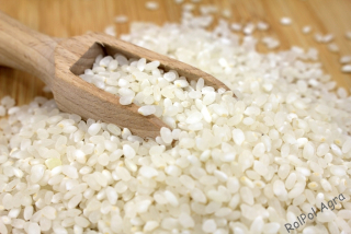 Sushi Rice 20 kg vrece