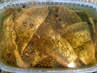 Sledujte pikantné Matjas v oleji 0,5 kg