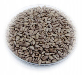 Slnečnica Shell 25 kg Poľska