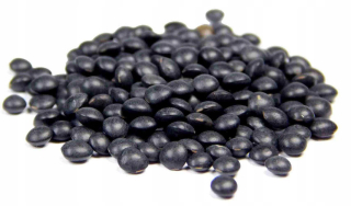 Black Lentil Beluga 5kg Veľkoobchod