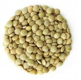 Zelená bio šošovka (surovina) (25 kg) 7