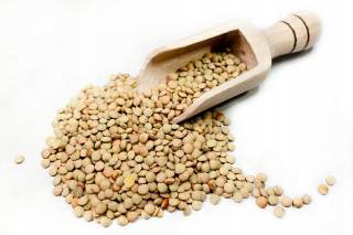 Lentil Green Small Poľsko 20 kg