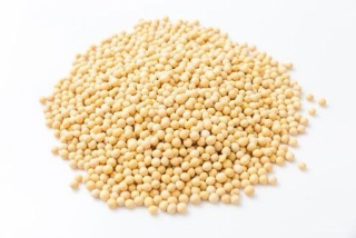SOJA BIO (surovina) (25 kg) 7