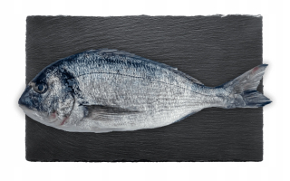 ČERSTVÉ PORADENSTVO CELEJ RYBY CROMARIS 1,5kg 3ks
