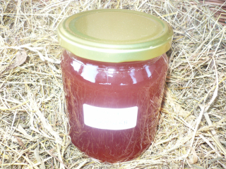 Sirup z zelených borovíc 0.54 l !!!