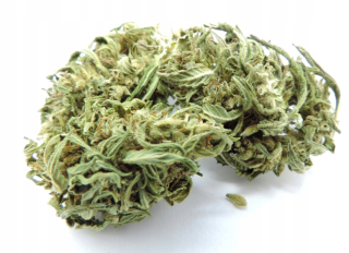 Sativa Buss 25G / 5,2% CBD
