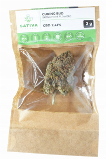 CBD - Sativa Poľsko vytvrdnutí Bud Drush CBD konopné semeno 2