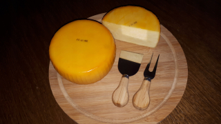 Žltý syr v type gouda. Borovica