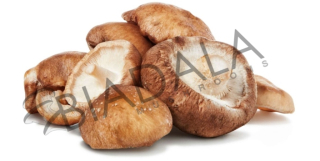 Shiitake Fresh Normal 1KG