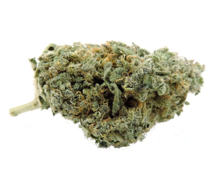 Silver Haze 10g / 3% CBD