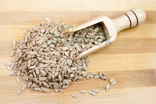 Sunflower Sheed SEED A'5KG