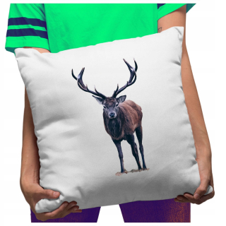 Darček na Valentína - Valentínsky obdĺžnikový vankúš 38 x 38 cm