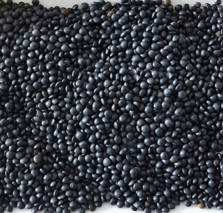 Black Beluga LEntil 25 kg