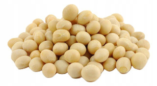 Soybean Seed 25kg