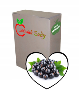 Aronia Juice 100% NFC 3L lisované s Aronia Aronia