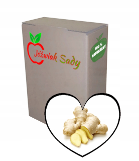 Ginger Juice 100% NFC Prírodný zázvor