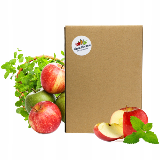 Apple Juice - Mint 100% NFC 5L lisovaná