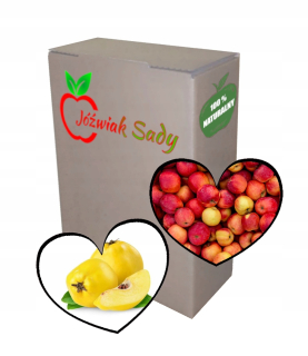 Juice Apple-Pigwowiec 3L NFC