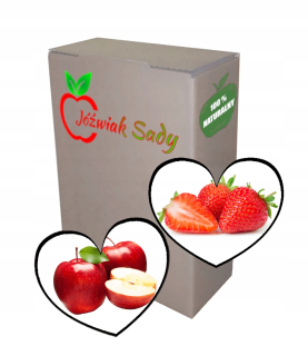 Apple-Strawberry Juice 5L NFC
