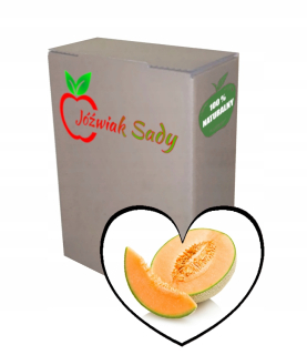Juice Melon 100% 3L NFC