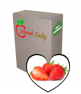 Jahodová šťava 100% 3L NFC
