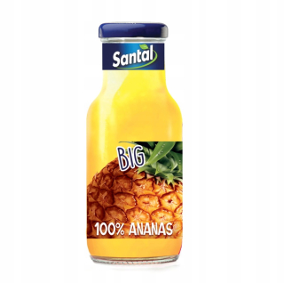 Ananásová šťava 100% 250 ml x 24 SZT SANTAL