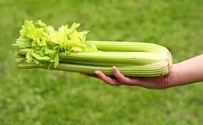 Apple-CeLery Juice 5L 100% Zeler