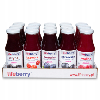 Lifeberry pyré šťava BOX Mix chutí 15x200 ml