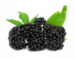 Black Lilac 2L Juice.