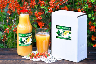Pigwoca Juice 100% 3L v Kolóne