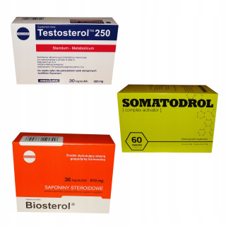 Testosterón - Somatodrol + Biosterol + Testosterol Steroidný výkon