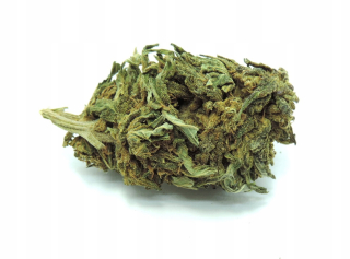 Super Sativa 5g / 3% CBD