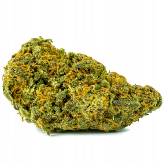 CBD - Susz Amnesia HAZE 42% CBD 5G Premium Limited Strong