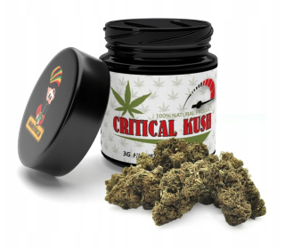 CBD - Susz CBD 6% - Critical Kush 3G Miestne Herbal