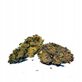 CBD - Susz CBD 7.55% - Banán Kush 5G