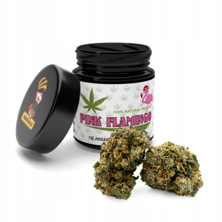 CBD - Susz CBD 8% - Pink Flamingo 3G Miestne bylina