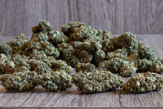 CBD - Susz CBD prvá dáma 10G Najkvalitnejšie sušené