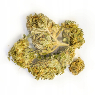 CBD - Susz CBD "Harlequin" Sativa Poľsko 4,2g