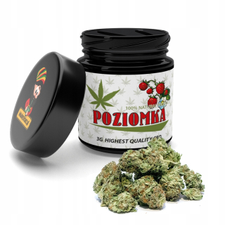 CBD - CBD Konopná sušená jahoda 3g OBMEDZENÁ EDÍCIA !!