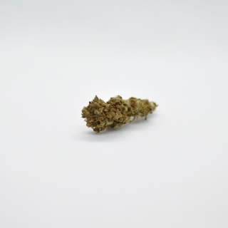 CBD - Susz CBD MANGO HAZE 1G - 12,0% CBD