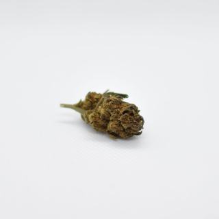 CBD - CBD Jahoda sušená 1g - 12,5% CBD