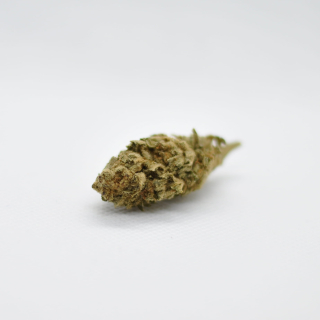 CBD - Susz CBD Super Lemon Haze 1G - 12,9% CBD