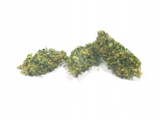CBD - Susz CBD / Susz konopný / 10 g / Natural
