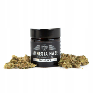 CBD - Susz CBD UNCLE HAZE amnézia 3,14% 2G konopné dosky