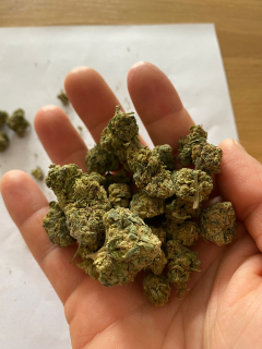 CBD - Susz cookes 12% CBD 4G