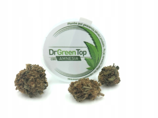 CBD - Konopné sucho CBD <15% AMNESSIA Dr Green Top