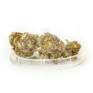 CBD - Hannepy CBD terapia HAZE 4,8% 1G