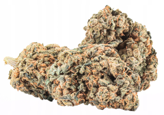 CBD - Sucho Hemp Melón Cookies CBD - Indoor - 1g